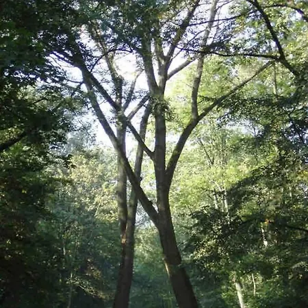 In Creative District, Free Parking 게스트하우스