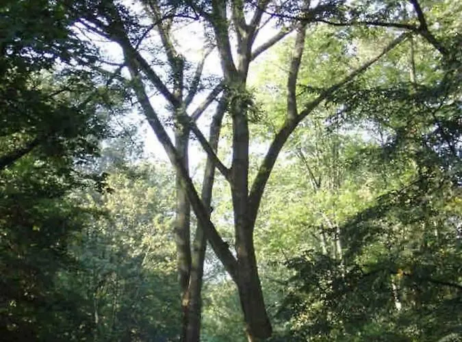 In Creative District, Free Parking בית הארחה