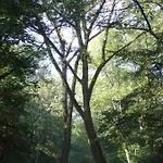 In Creative District, Free Parking Gasthuis